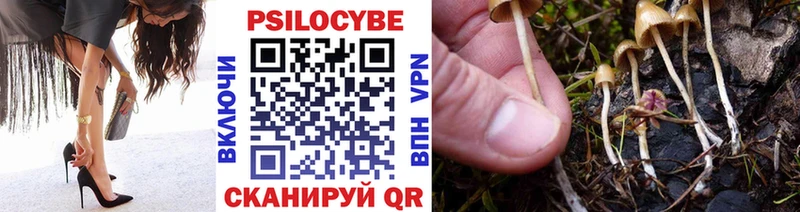 Галлюциногенные грибы Cubensis  где купить   Верхняя Тура 